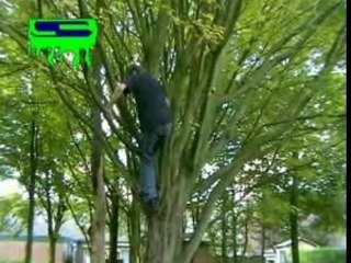 uitgeboned 2. deel 1