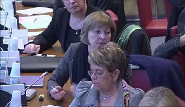 Audition de M. Alfred Spira, pdt du groupe de travail réuni par l’Institut national de la santé (INSERM) - Mercredi 20 Février 2013