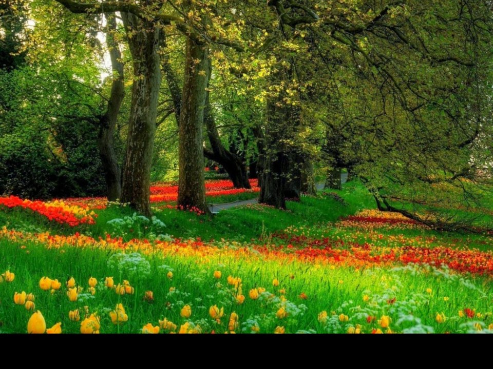Sadık Gürbüz - Tutam Yar Elinden Tutam