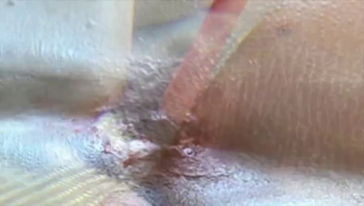 Barbara Polla, Paul Ardenne "Paysages"