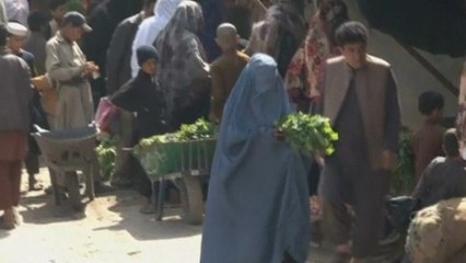 Afghan refugees yearn to vote