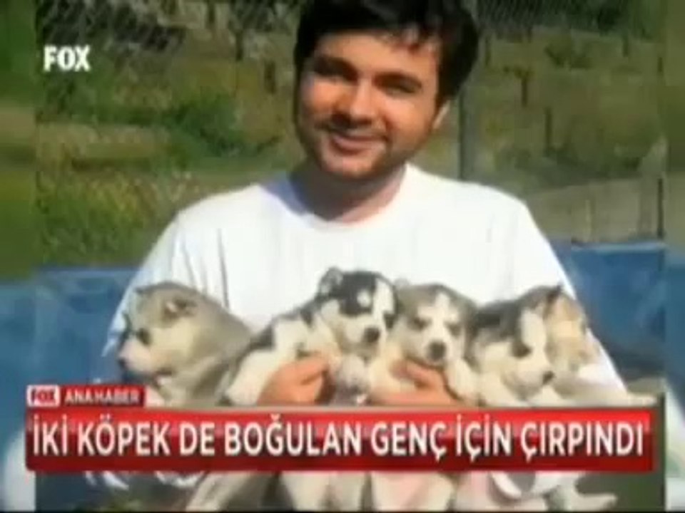 İki Köpek Boğulan Genç İçin Çırpındı
