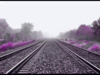 Mehmet Özkaya  -   Çaresizim