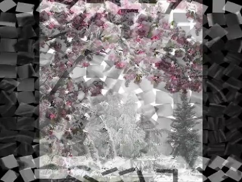 FATİH KISAPARMAK CANIM BENİM