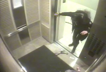 Girl Saves Dog in Heroic Act