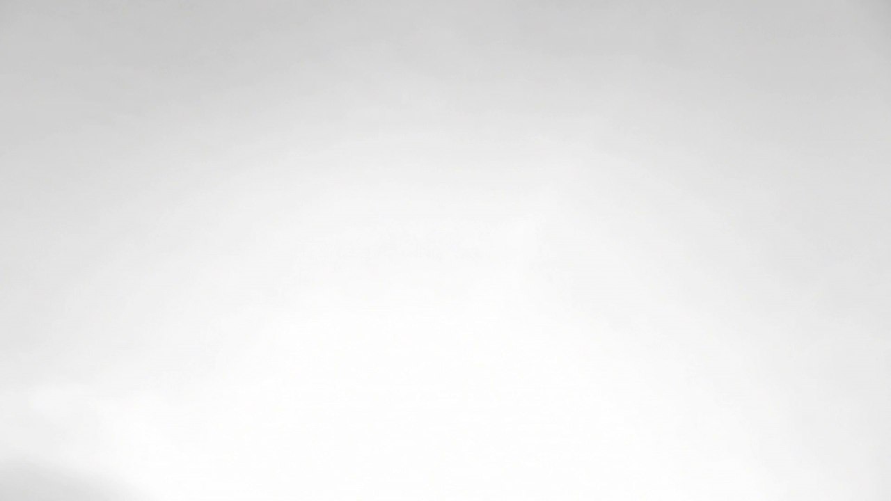 Good Bye Laura Palmer - The Line Of Lies