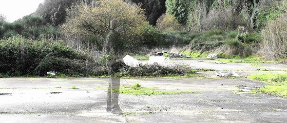 MezKador - La Nature De L'homme (Prod Mc Fred Killah)