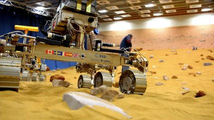 AFP - Le JT, 1ère édition du vendredi 28 mars