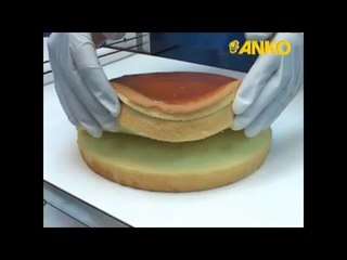 PANDİSPANYA DİLİMLEME MAKİNASI - ANKO GIDA