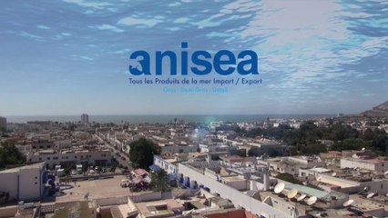 Poissonnerie ANISEA - Agadir