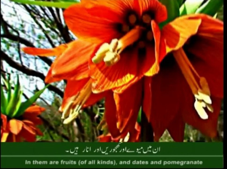 Sura-e-Rehman in the voice of Qari Muhammad Abbas (Student of Qari Syed Sadaqat Ali)