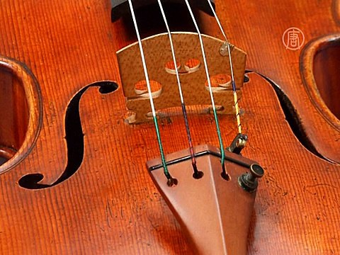Цена за лучший альт Страдивари побьет рекорд