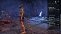 TESO - Création de personnage khajiit