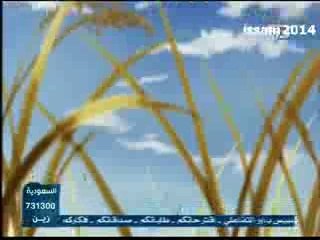 Solty rei18الحلقة