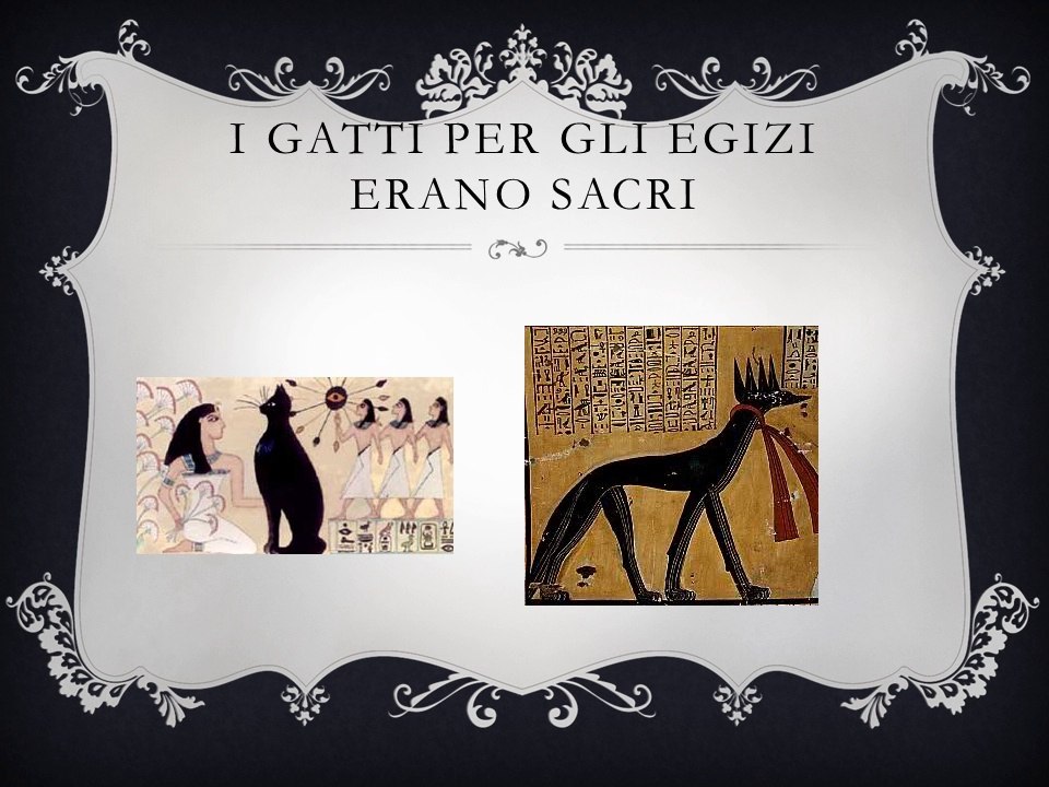 gatto egizio