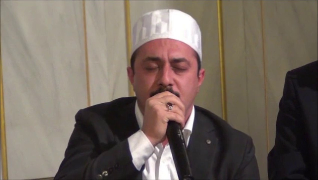 Hafız Ali Tel