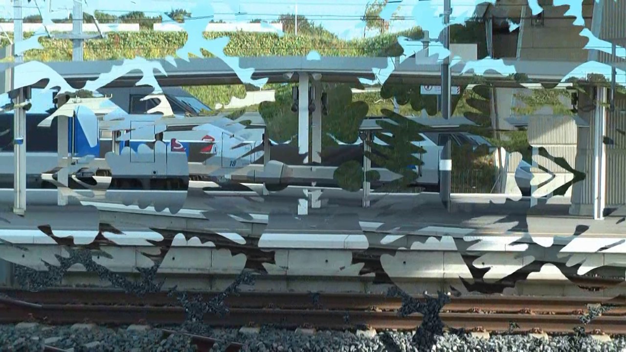 TGV SUR LGV RHIN-RHÔNE