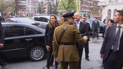 Jolie, Hague open conference on wartime sexual violence in Bosnia