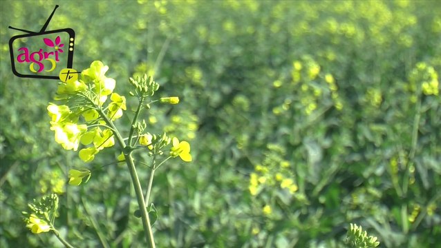 JT agri85TV du vendredi 28 mars 2014