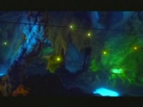 Le grinch Jim Carrey fin