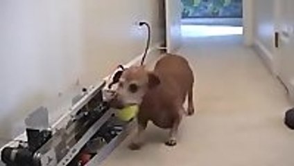 Jerry needs no help playing