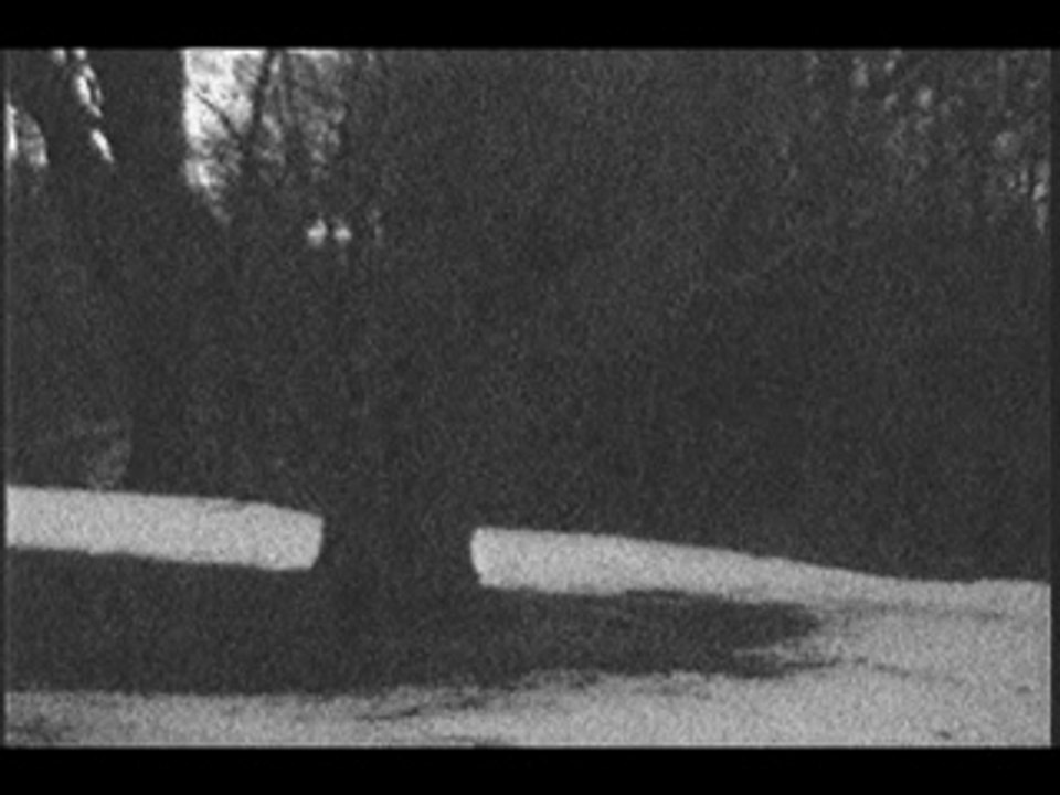 ghost