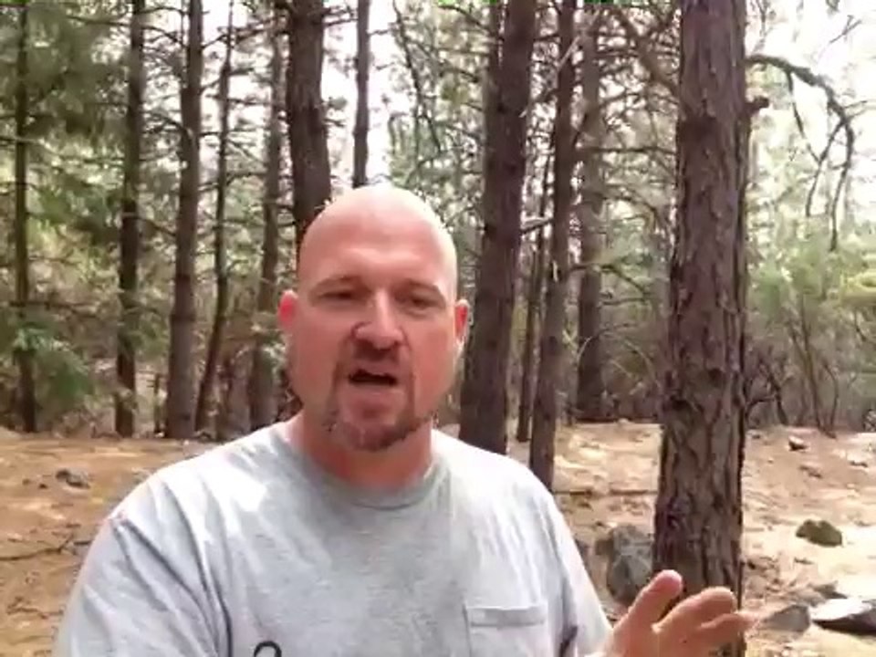 Mobile Warrior #14 Internet Traffic Formula