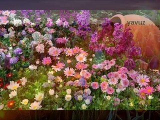 İHSAN GÜVENÇ-HELALİM BENİM