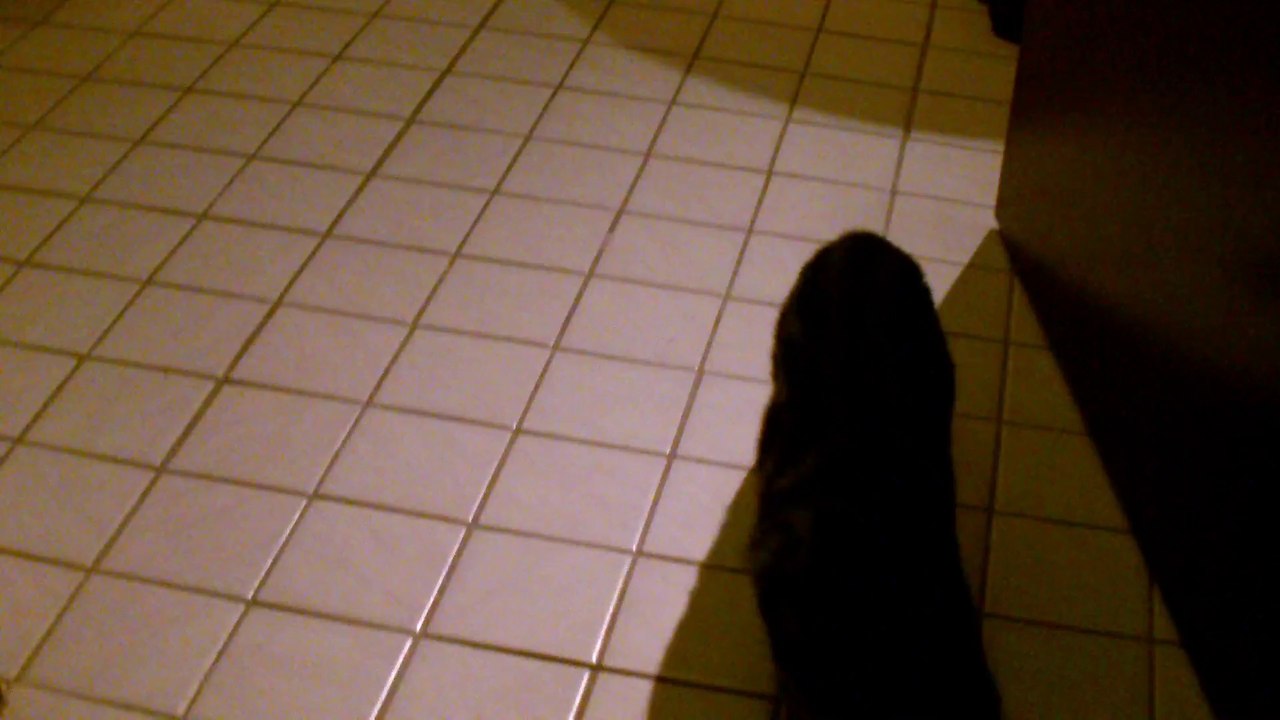 Curry kommt zu Hause an