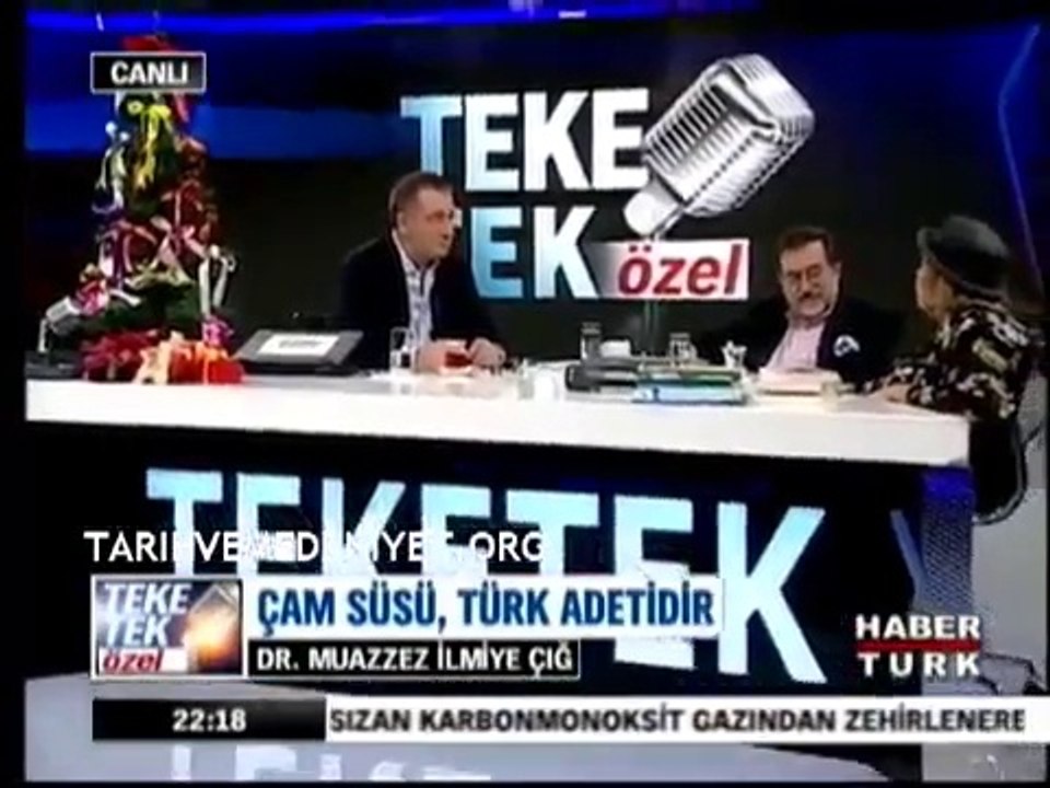 Çam ağacı süsleme, Türk adetidir - Muazzez İlmiye Çığ