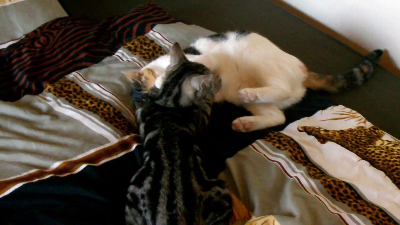 Chili und Curry morgendliches Spiel 020313