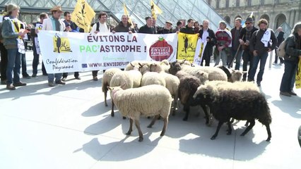 Ovelhas invadem o Louvre