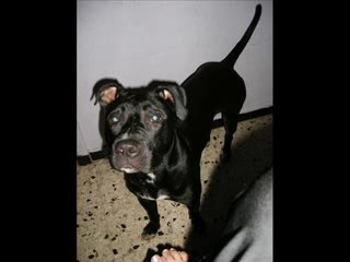 Nakira bb a de nos jours