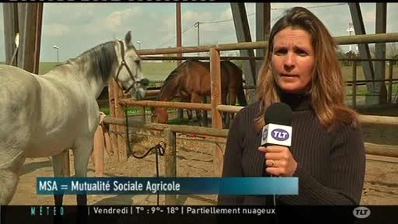 Le club hippique de Pech David en liquidation judiciaire