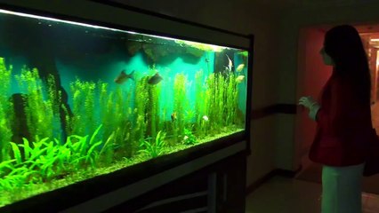 Спецназ Рода Небесного — Спецвыпуск 'Айсберг'