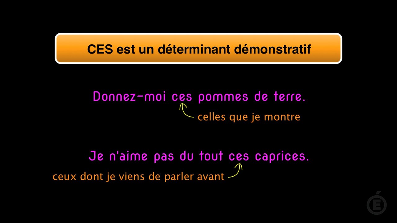 CES / SES: distinguer ces homophones et éviter les fautes d'orthographe.