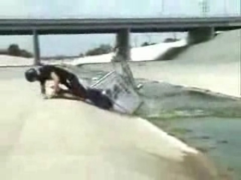 Jackass supermarket caddie