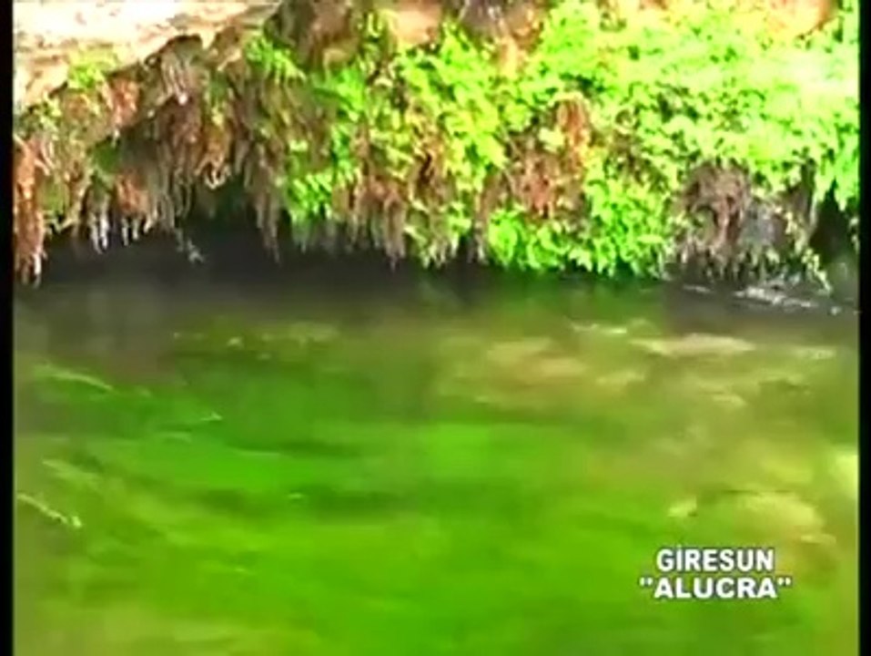 Giresun Alucra Merkez, Köy ve Yayla Belgesel Çekimleri