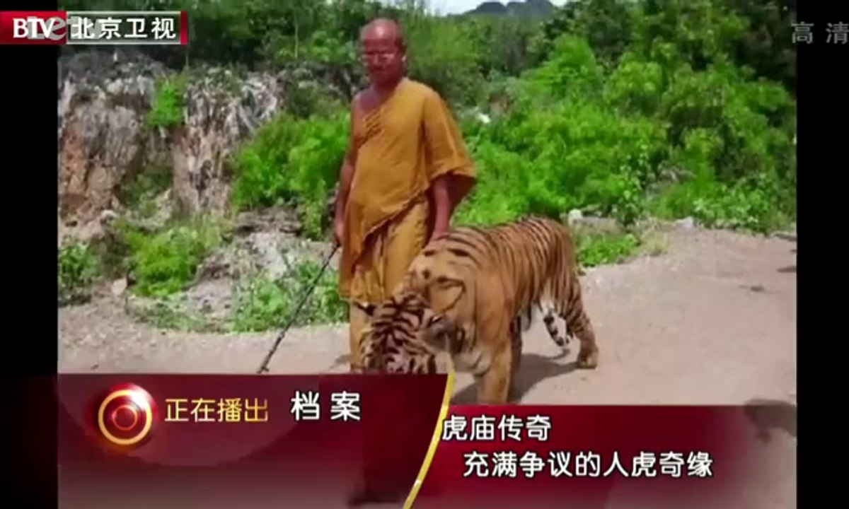 20130910  揭秘泰国虎庙传奇的人虎缘 是人性光辉还是另类暴利
