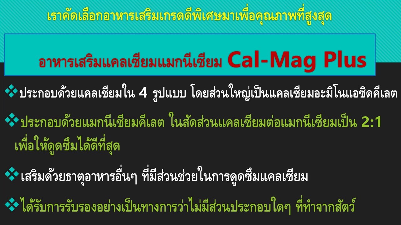 กินเจ : แคลเซียมแมกนีเซียม กลูโคซามีน ที่คนกินเจรับประทานได้