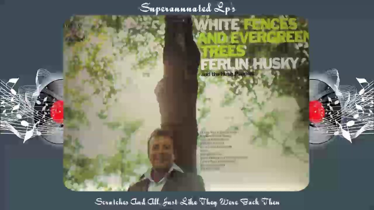 FERLIN HUSKY white fences ...