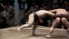 Sumo-fight