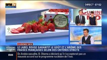 Cuisinez-moi: Les fraises Label Rouge - 29/03