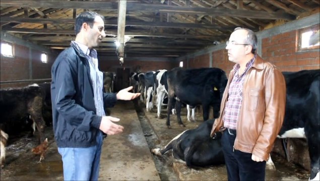 Turplu Köyü/BALIKESİR-Tanju ALTINTAŞ