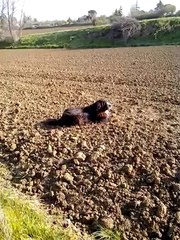 Atoll dans la terre-20140324