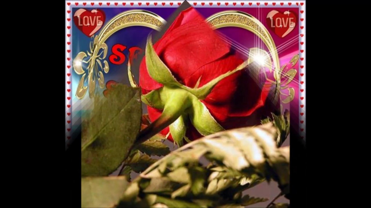 PRENSES GÜLŞEN ANNE GİBİ YAR OLMAZ