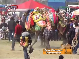 Rumeli TV Deve Güreşleri Gölmarmara Bölüm 1