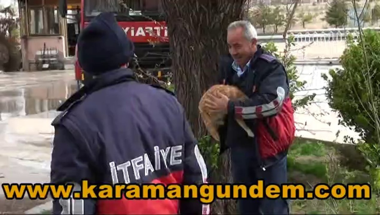 Kedi_Kurtarma_Operasyonu_Karamangundem