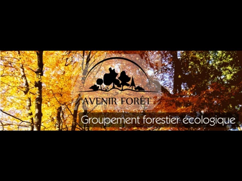 Avenir Forêt sur la radio France culture