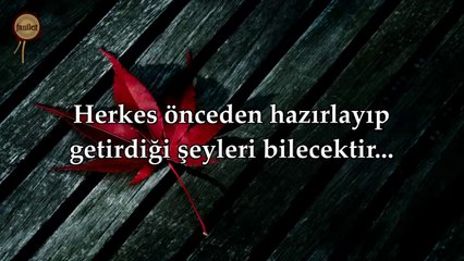 81 Tekvir Suresi - Nasser al Qatami